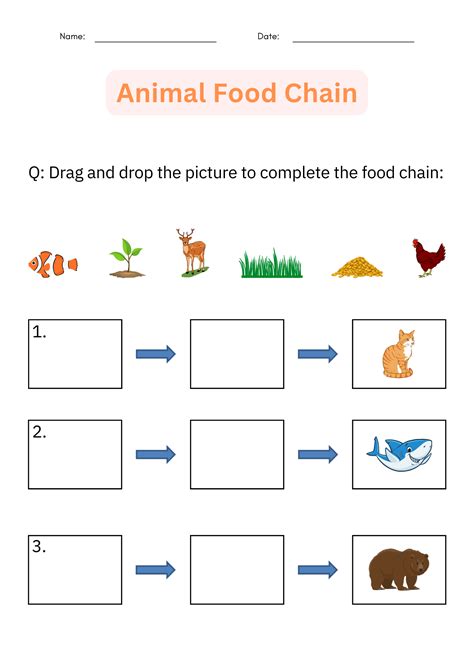 Printable Animal Food Chain Worksheet and Activity - Cut And Paste for Grade 1 | Made By Teachers