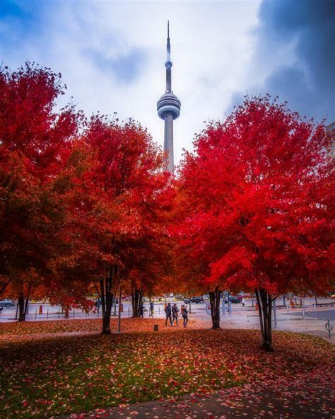 Fall colours peaked this weekend in Toronto. : pics | Canada photography, Vancouver canada ...