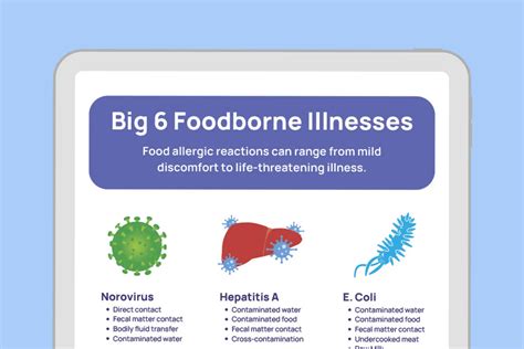 Big 6 Foodborne Illnesses Poster | Free Tools by Xenia