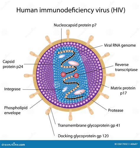 Inspirasi Istimewa Struktur Virus HIV