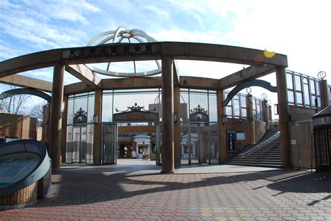 Captive polar bears: Tennoji Zoo, Osaka Japan – Bear Conservation