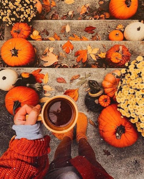 Pin by NINI on ‡ Fall inspiration ‡ | Autumn leaves, Fall, Autumn aesthetic