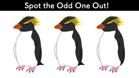 Spot the Odd One Out! by Dr-SPOT on DeviantArt