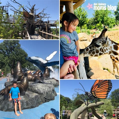 6 Insider tips for visiting the Omaha Zoo with Your Family