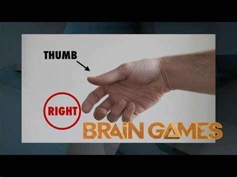 National Geographic Kids: Right or Left Hand Game | BRAIN GAMES | Brain ...