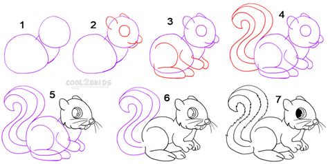 How To Draw a Squirrel (Step by Step Pictures) | Cool2bKids