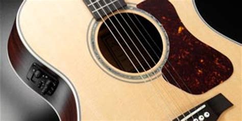 Walden Guitars Introduces 4 New Acoustic Guitars - Premier Guitar | The best guitar and bass ...