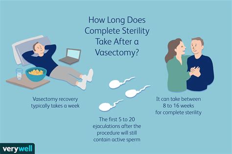 Vasectomy: Recovery