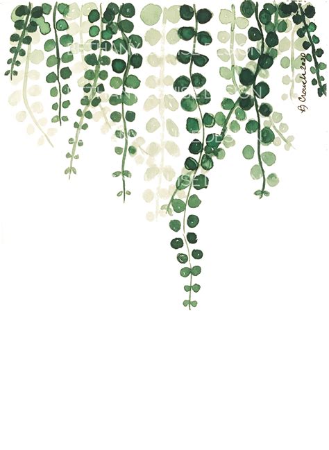 Trailing Vines 5x7 DIGITAL ART - Etsy