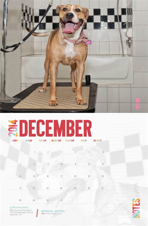 Calendar Fundraising Idea For Animal Shelters & Rescues