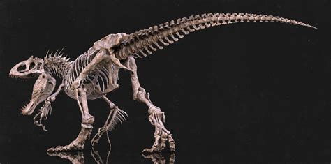 ArtStation - Indominus rex Skeleton by. VI models, Vitamin Imagination ...