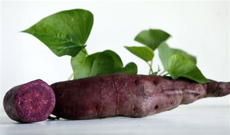 All Purple Sweet Potato