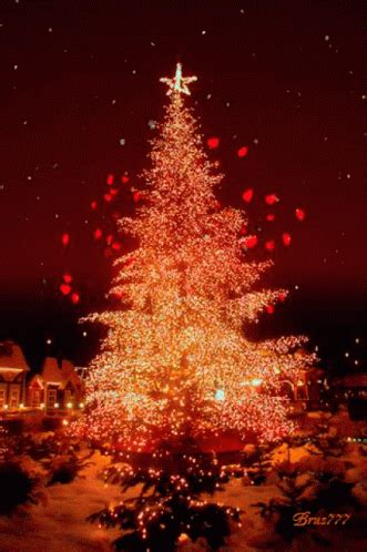 Christmas Tree Lights GIF - Christmas Tree Lights Winter - Discover ...