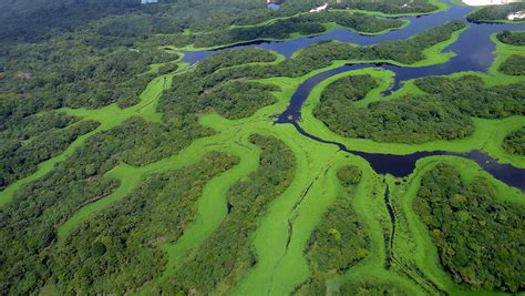 Anavilhanas National Park & Archipelago (Brazil) | LAC Geo