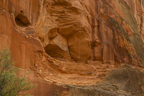 Hiking to Escalante Natural Bridge: Escalante River Trail