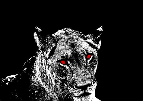 Download Lion, Eyes, Red. Royalty-Free Vector Graphic - Pixabay