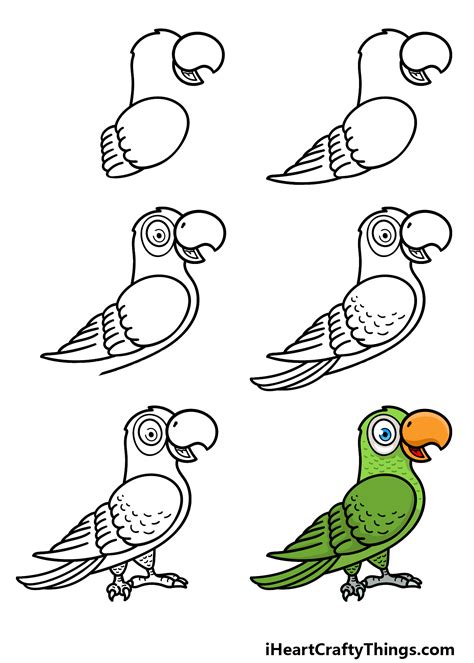 Parrot Drawing For Kids Step By Step