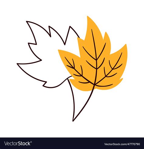 Floral leaf lined Royalty Free Vector Image - VectorStock