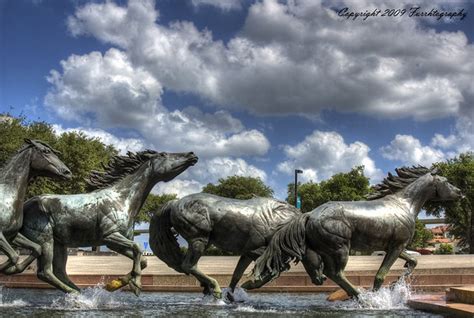 Williams Square Mustangs - HDR | Williams Square Mustangs La… | Flickr