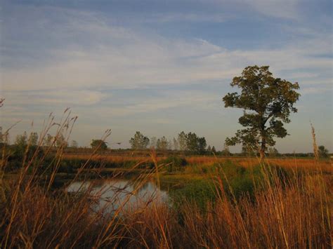 Riverlands Migratory Bird Sanctuary | Audubon Center at Riverlands