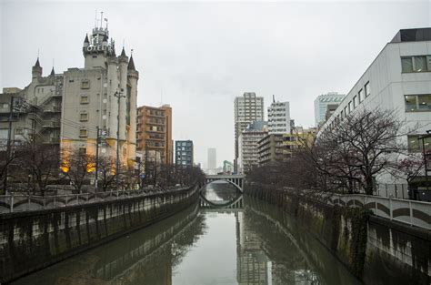 Meguro river – TRAVELING AROUND ASIA AND JAPAN