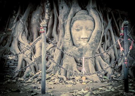 Buddha Head in Tree Roots, Wat Mahathat, Ayutthaya