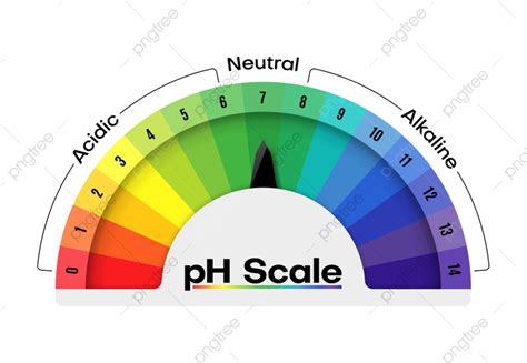 Ph Meter Vector Art PNG, Ph Scale Value Meter With Acid, Hydronium, Fluid, With PNG Image For ...