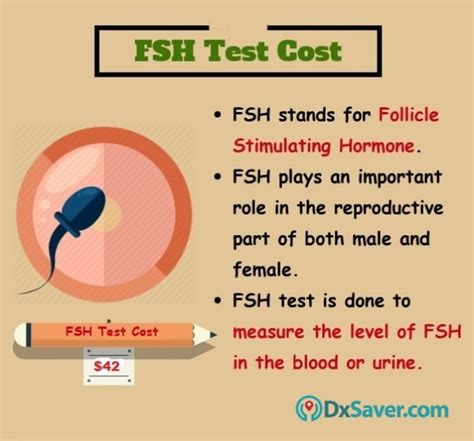 Get Lowest Follicle Stimulating Hormone, FSH Test Cost at $49 | Book ...