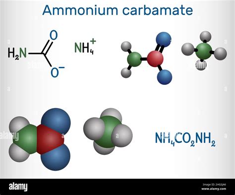 Ammonium carbamate molecule. It is organic compound consisting of ammonium and carbamate ...