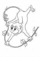 5 Little Monkeys Swinging In The Tree Coloring Page sketch template