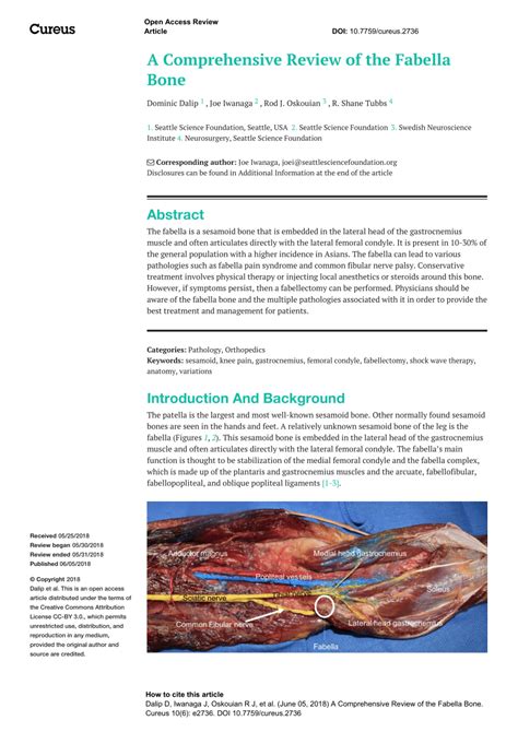 (PDF) A Comprehensive Review of the Fabella Bone