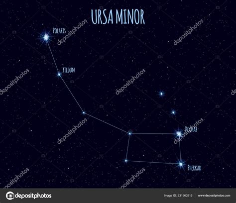 Ursa Minor Little Bear Little Dipper Constellation Vector Illustration Names Stock Vector by ...