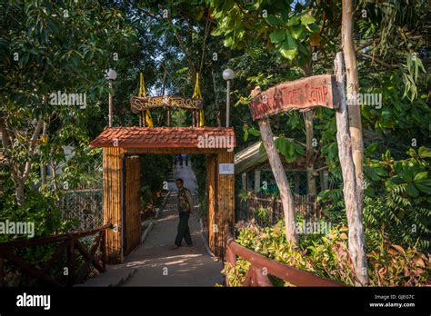 Tiger Camp in the Sundarbans National Park, West Bengal, India Stock ...