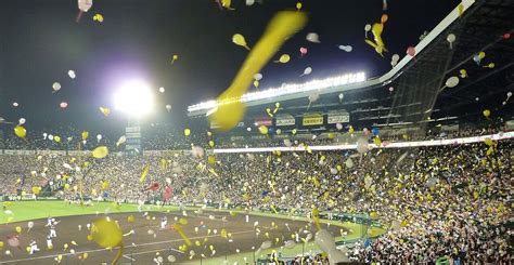 Koshien Stadium – Hanshin Tigers