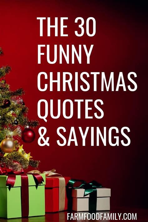 30+ Funny Christmas Quotes & Sayings That Make You Laugh | Cute ...