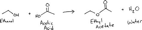 Understanding Esterification - Sour Beer Blog