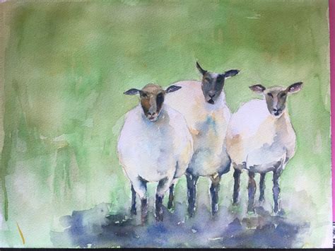 "Three Sheep" Watercolor | Watercolor Paintings | Pinterest | Sheep, Watercolor and Third