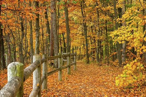 North Country Trail 1 Photograph by Steve L'Italien | Fine Art America