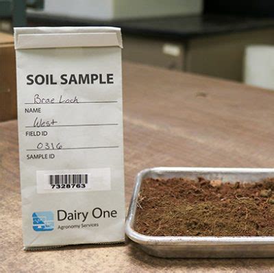 Soil Analysis Kit | Dairy One