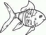 Goldfish Coloring Page sketch template