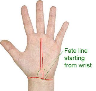 Fate Line and meanings - Palm Reading India