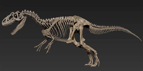 ArtStation - The skeleton of Allosaurus, Vitamin Imagination Reptiles ...