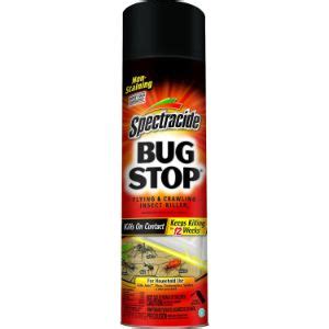 Best Bee Killer Spray 2020 - Consumer Guides