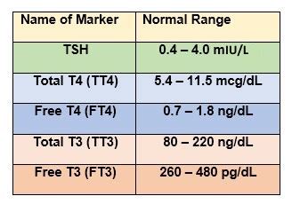 TSH Levels: Normal, High, or Low (Including Optimal Thyroid Levels)