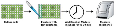 Cell viability kits