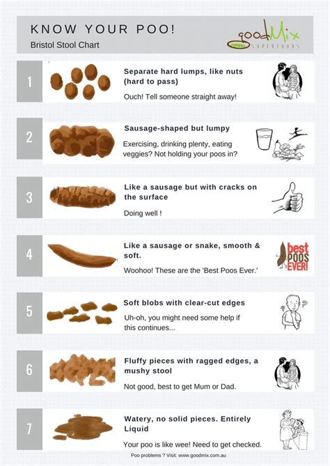 poop stool color changes color chart and meaning healthy concept stock - microblog the bristol ...