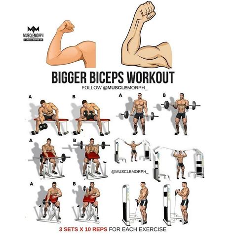 Bigger biceps workout