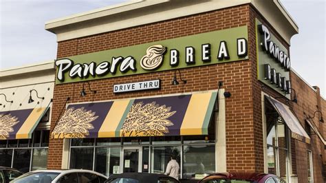 Umur Pengambilan Panera Bread: Berapa Umur Anda Perlu Bekerja di Panera ...