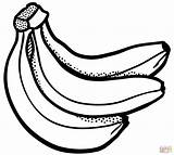 Bunch Of Banana Coloring Pages sketch template