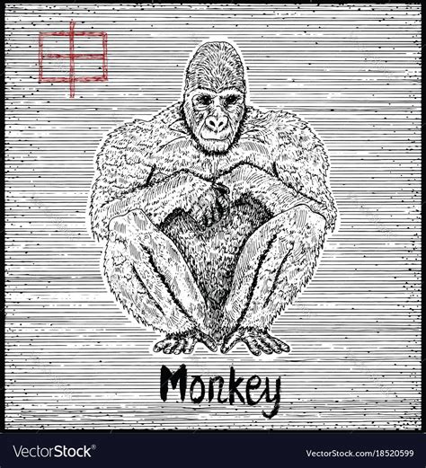 Engraved of zodiac symbol with monkey Royalty Free Vector